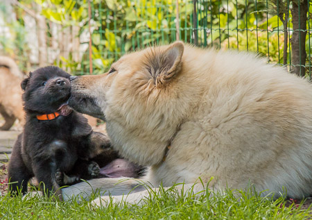 15.Mai 2014 (4-Woche)