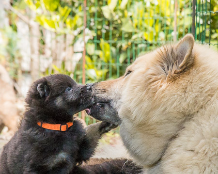 15.Mai 2014 (4-Woche)