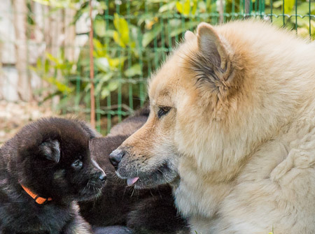 15.Mai 2014 (4-Woche)