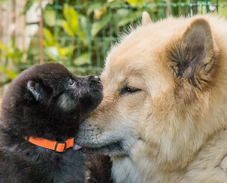 15.Mai 2014 (4-Woche)