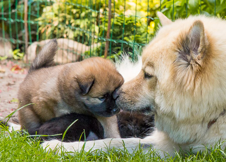 15.Mai 2014 (4-Woche)