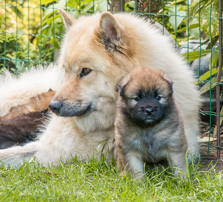 15.Mai 2014 (4-Woche)