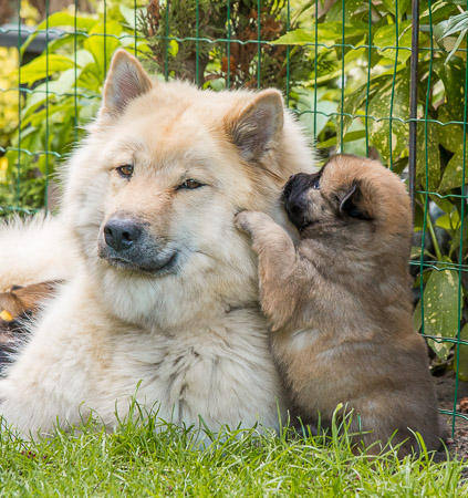 15.Mai 2014 (4-Woche)