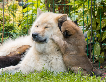15.Mai 2014 (4-Woche)
