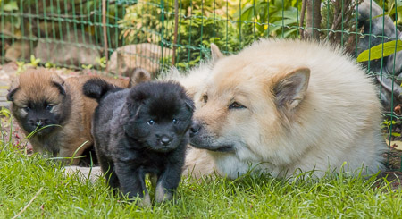 15.Mai 2014 (4-Woche)