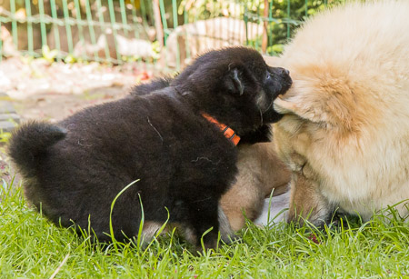 15.Mai 2014 (4-Woche)