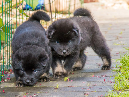 15.Mai 2014 (4-Woche)
