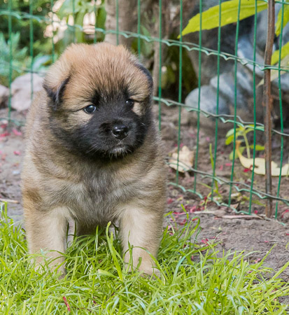 15.Mai 2014 (4-Woche)