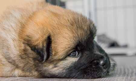 15.Mai 2014 (4-Woche)