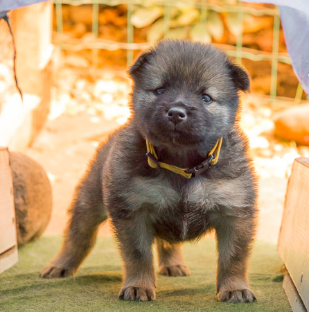 15.Mai 2014 (4-Woche)