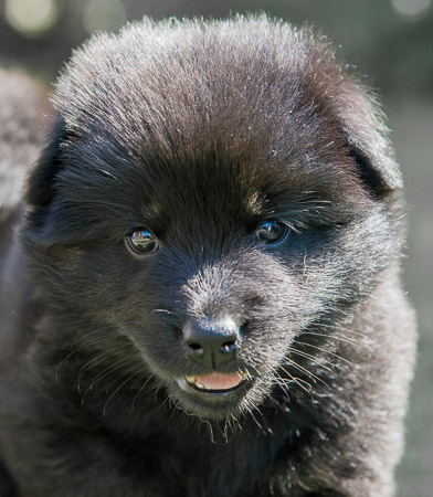 22.Mai 2014 (5-Woche)