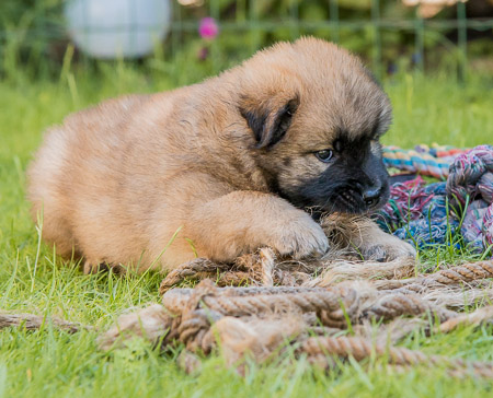 22.Mai 2014 (5-Woche)