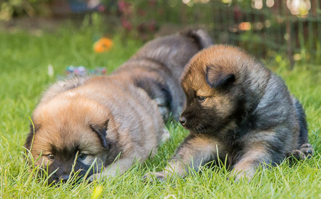 22.Mai 2014 (5-Woche)