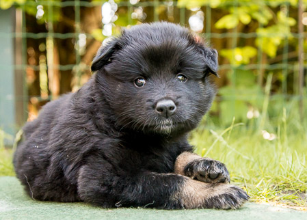 22.Mai 2014 (5-Woche)