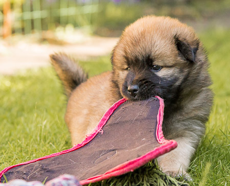 22.Mai 2014 (5-Woche)