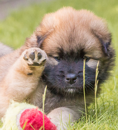 22.Mai 2014 (5-Woche)