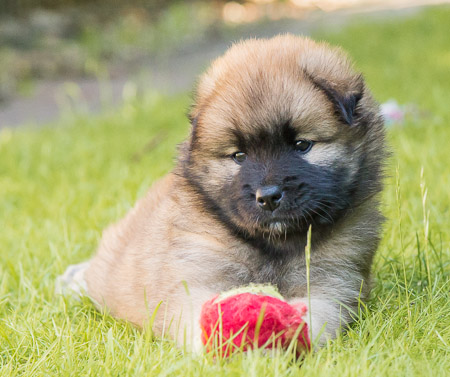 22.Mai 2014 (5-Woche)