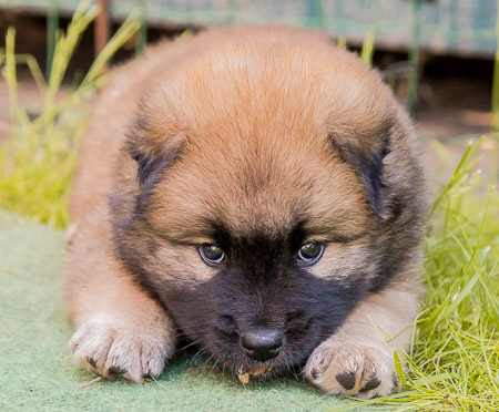 22.Mai 2014 (5-Woche)