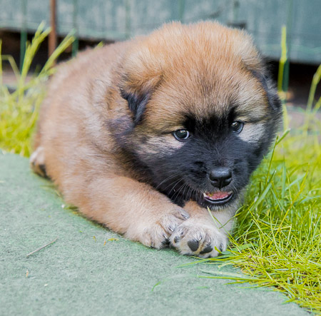 22.Mai 2014 (5-Woche)