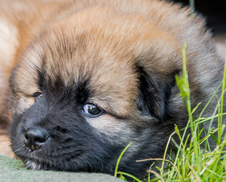 22.Mai 2014 (5-Woche)