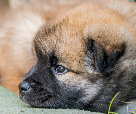 22.Mai 2014 (5-Woche)