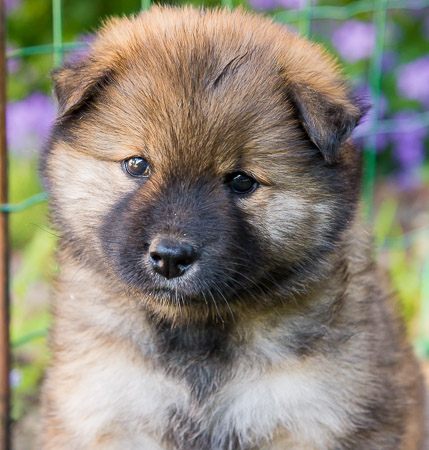 22.Mai 2014 (5-Woche)