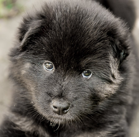 22.Mai 2014 (5-Woche)