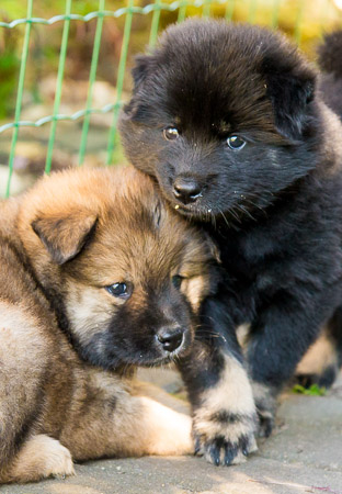 22.Mai 2014 (5-Woche)