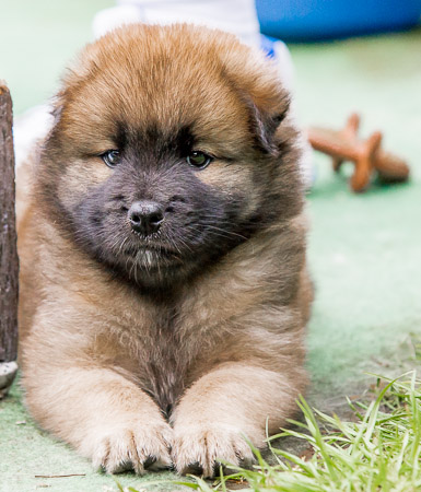 24.Mai 2014 (5-Woche)