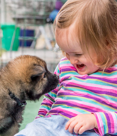 24.Mai 2014 (5-Woche)