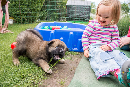 24.Mai 2014 (5-Woche)