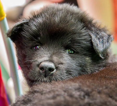 24.Mai 2014 (5-Woche)