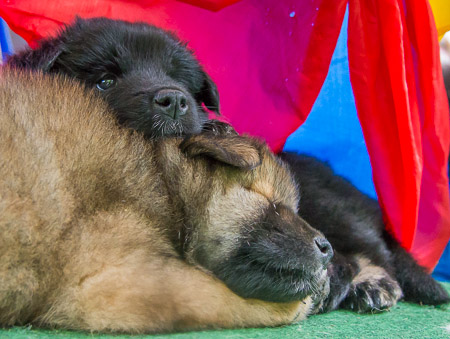 24.Mai 2014 (5-Woche)