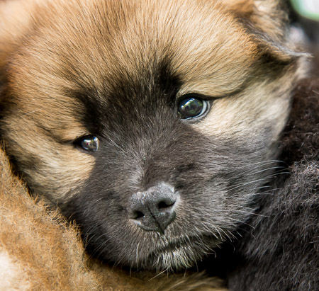 29.Mai 2014 (6-Woche)