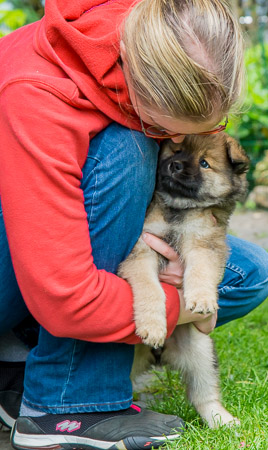 29.Mai 2014 (6-Woche)