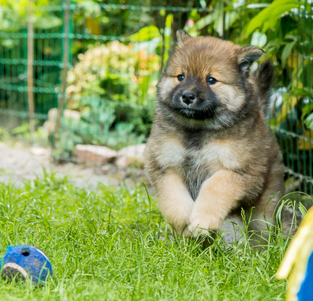 29.Mai 2014 (6-Woche)