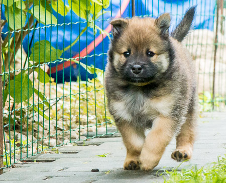 29.Mai 2014 (6-Woche)