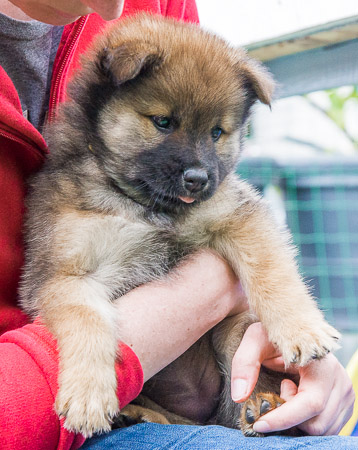 29.Mai 2014 (6-Woche)