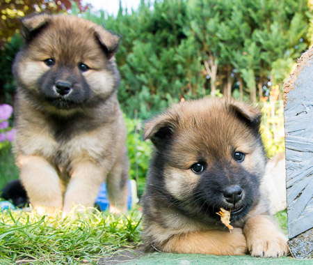 30.Mai 2014 (6-Woche)