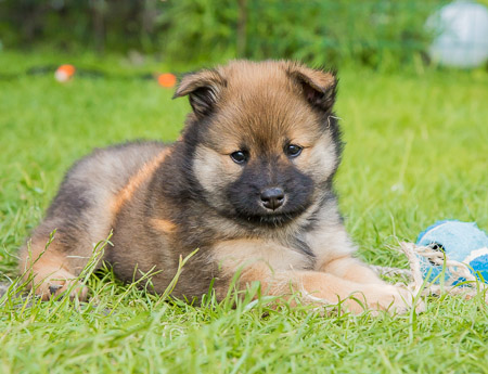 30.Mai 2014 (6-Woche)