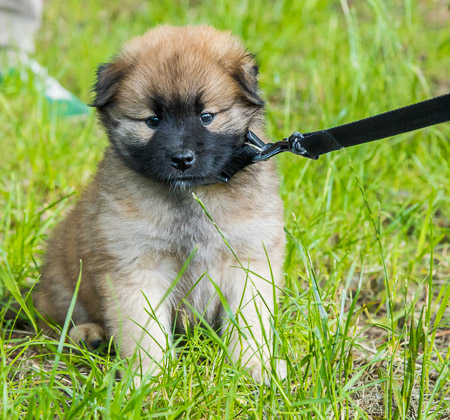 30.Mai 2014 (6-Woche)