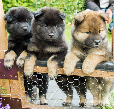 30.Mai 2014 (6-Woche)