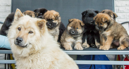 30.Mai 2014 (6-Woche)