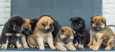 30.Mai 2014 (6-Woche)