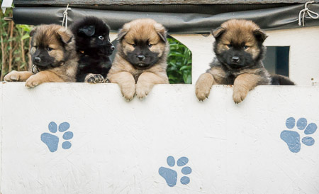 30.Mai 2014 (6-Woche)