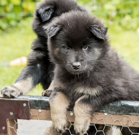 5.Juni 2014 (7-Woche)