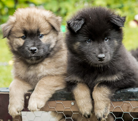 5.Juni 2014 (7-Woche)