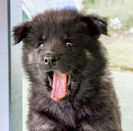 5.Juni 2014 (7-Woche)