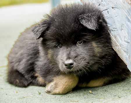 5.Juni 2014 (7-Woche)