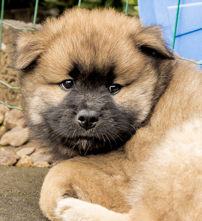 5.Juni 2014 (7-Woche)